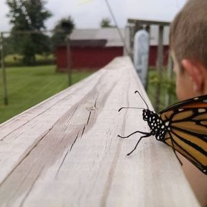 Meet your Posher, Kimberly